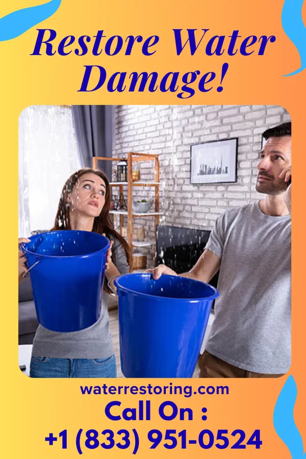 water restoration Reliable Cleanup Specialists Soldier Creek